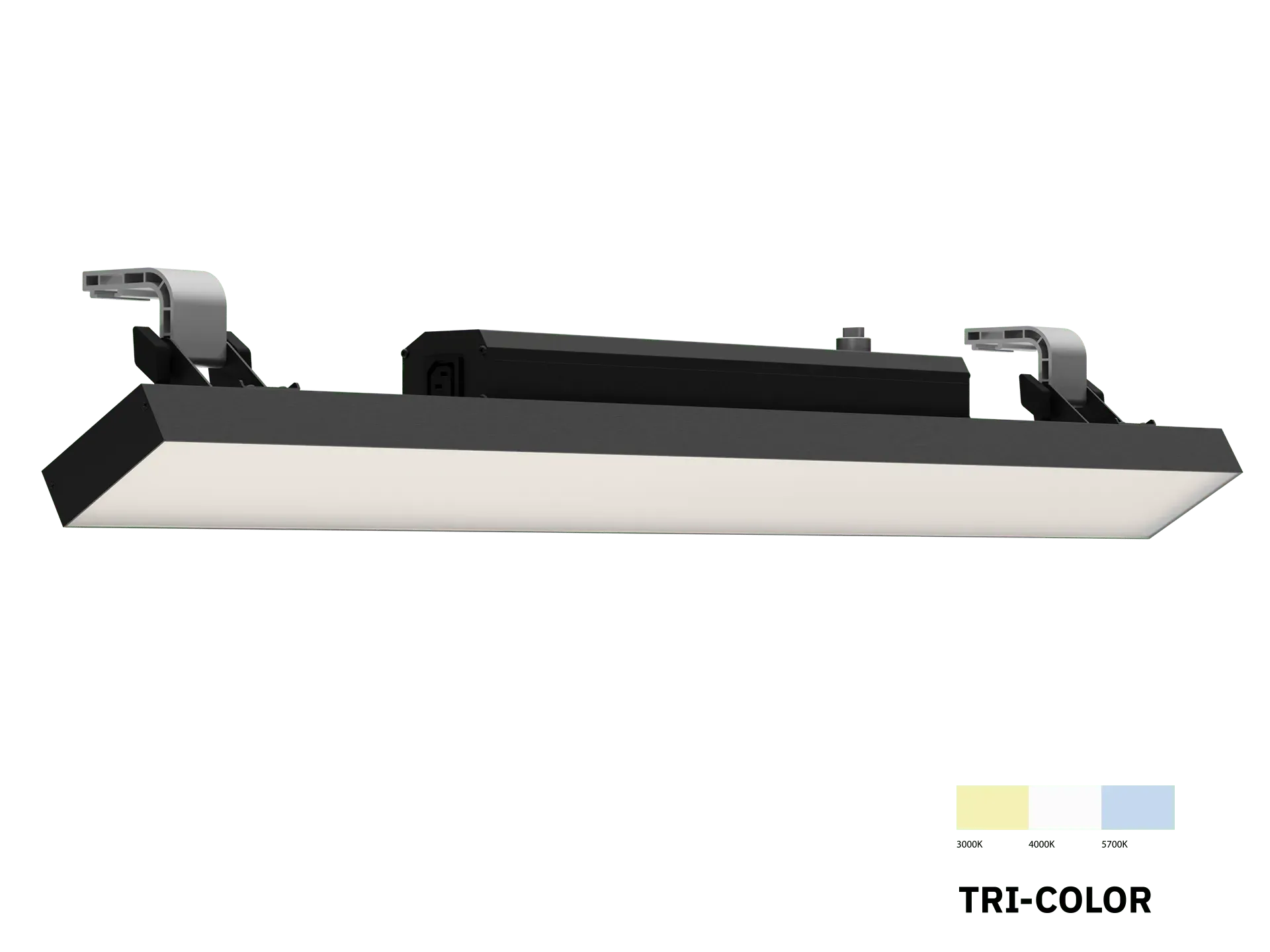 ZORO 50