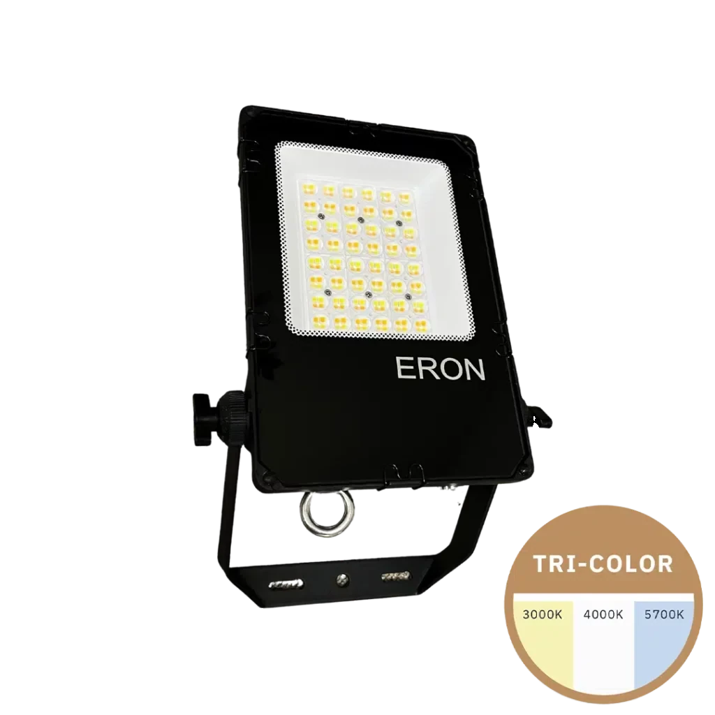 ERON Pro 100W